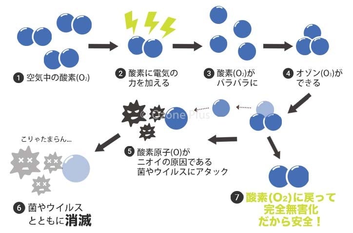 オゾンの除菌メカニズム